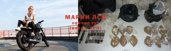 твердый Арсеньев