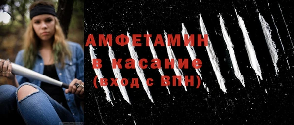 твердый Арсеньев