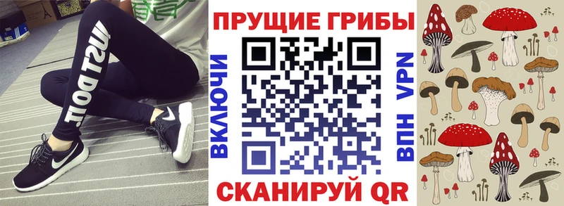 наркотики  Высоцк  Псилоцибиновые грибы Psilocybe 